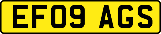EF09AGS