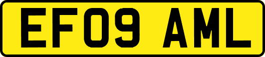 EF09AML
