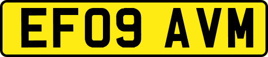 EF09AVM