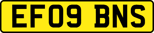 EF09BNS