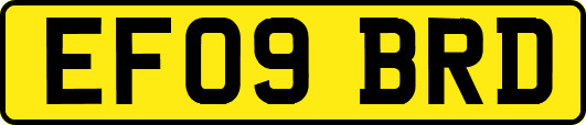 EF09BRD