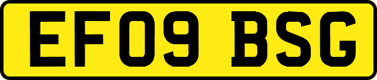 EF09BSG