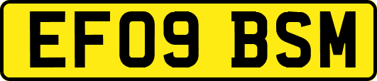 EF09BSM