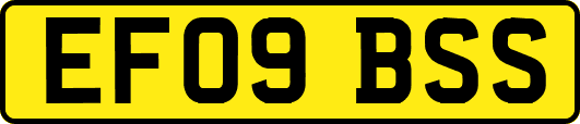 EF09BSS