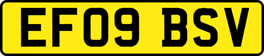 EF09BSV