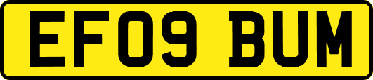 EF09BUM