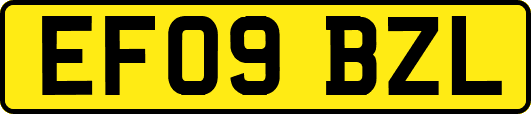 EF09BZL