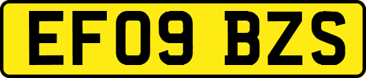EF09BZS