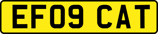 EF09CAT