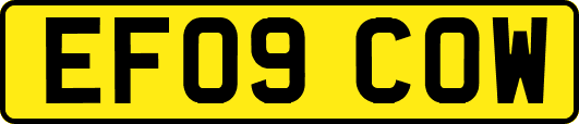 EF09COW