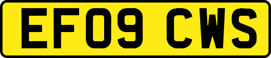 EF09CWS