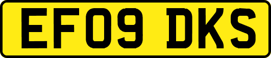EF09DKS