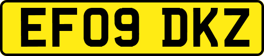 EF09DKZ