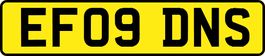 EF09DNS