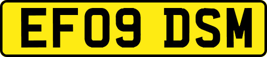 EF09DSM