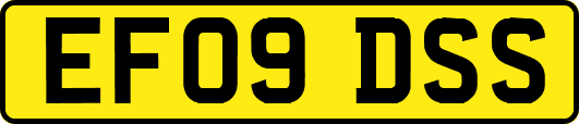 EF09DSS