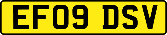 EF09DSV
