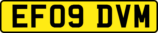 EF09DVM