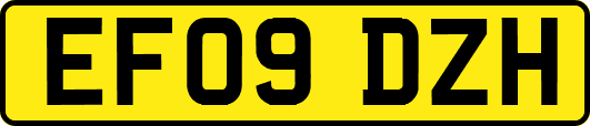 EF09DZH