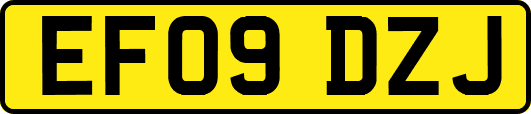 EF09DZJ