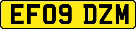EF09DZM