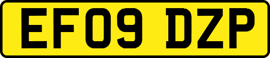 EF09DZP