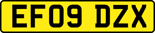 EF09DZX