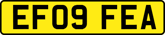 EF09FEA