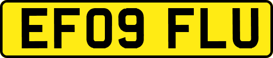 EF09FLU