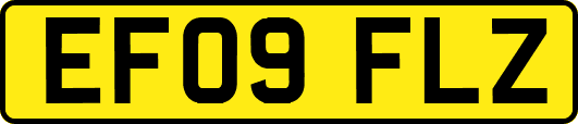 EF09FLZ