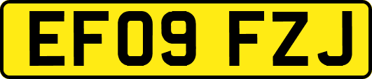 EF09FZJ