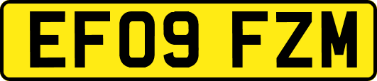EF09FZM