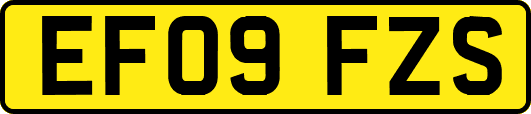 EF09FZS