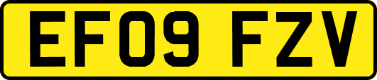 EF09FZV