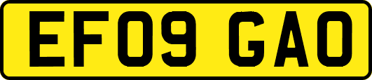 EF09GAO