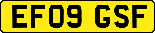 EF09GSF