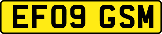 EF09GSM