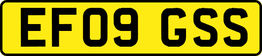 EF09GSS