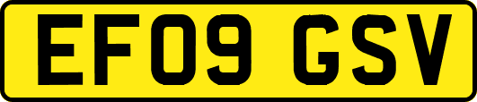 EF09GSV