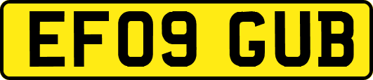 EF09GUB