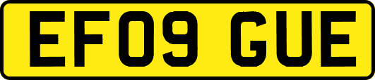 EF09GUE