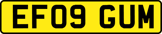 EF09GUM