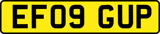 EF09GUP