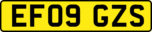 EF09GZS