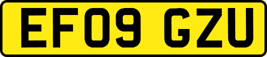 EF09GZU