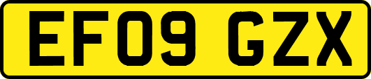 EF09GZX