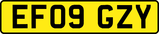 EF09GZY