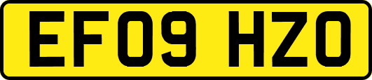 EF09HZO