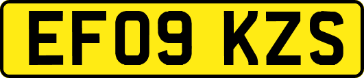 EF09KZS