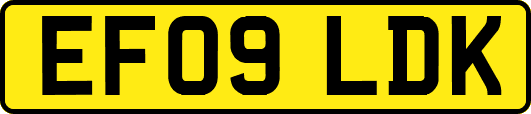 EF09LDK